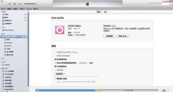 怎么把ipod的音乐同步到电脑（ipod的音乐怎么导入电脑）-图3