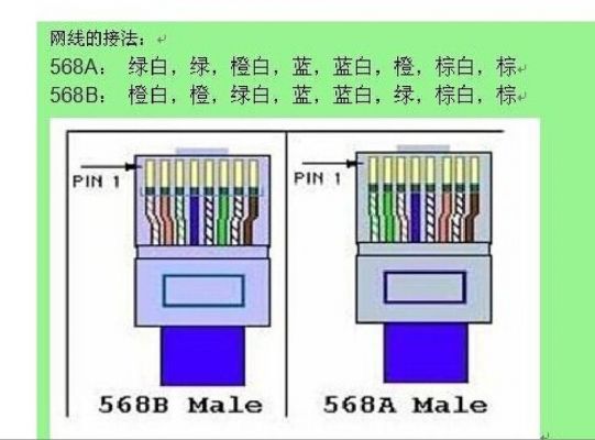 电脑网线插哪（电脑网线插哪儿）-图3