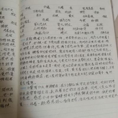 20字读书笔记4篇？蜂蜜笔记安卓-图3