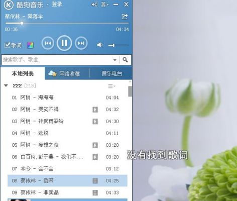 电脑听歌搜歌名（电脑听歌怎么看歌词）