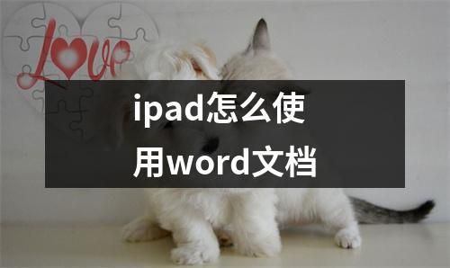 怎么在ipad上编辑word文档？安卓平板 文档编辑-图2