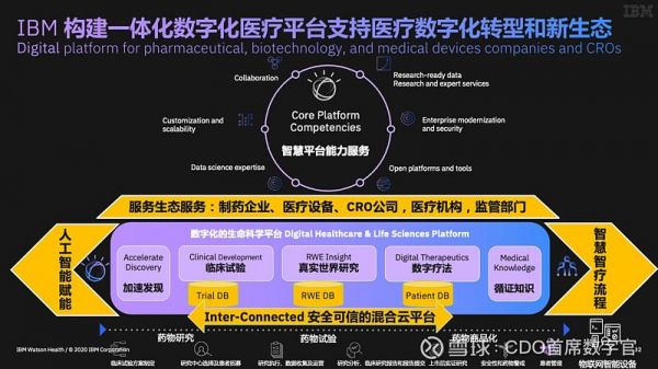 人工智能医疗领域IBM（人工智能医疗领域论文）-图3