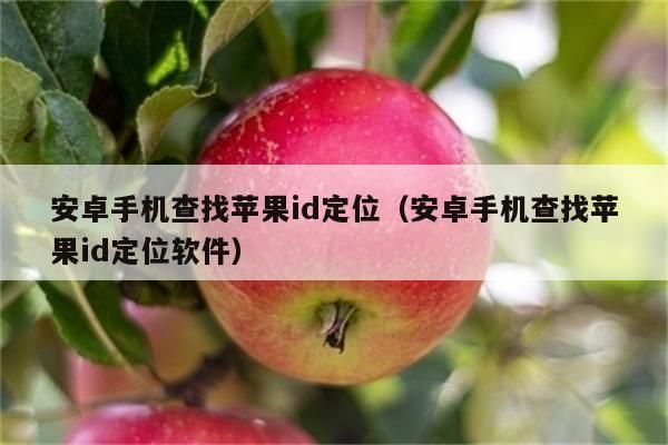 安卓系统能定位苹果手机吗？安卓查找苹果手机位置-图2