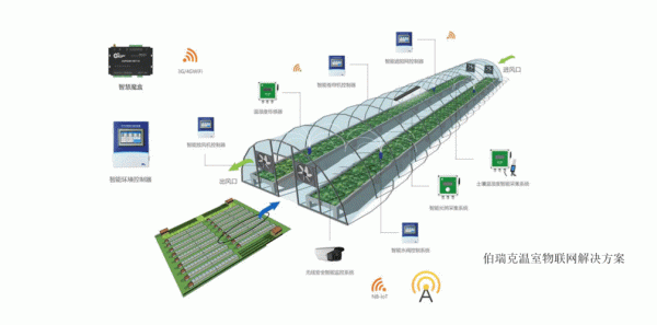 农业大棚的物联网（农业大棚物联网数据库设计）-图3