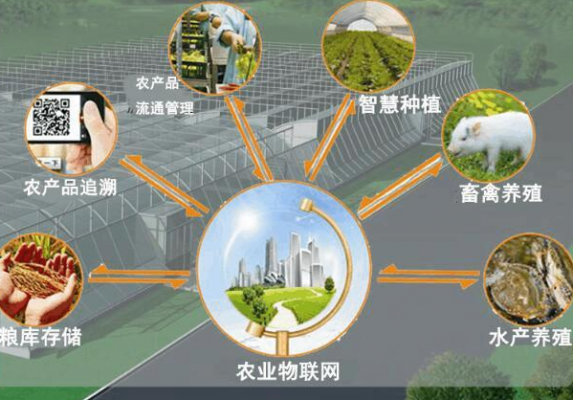 有哪些物联网应用（智慧农业领域有哪些物联网应用）-图2