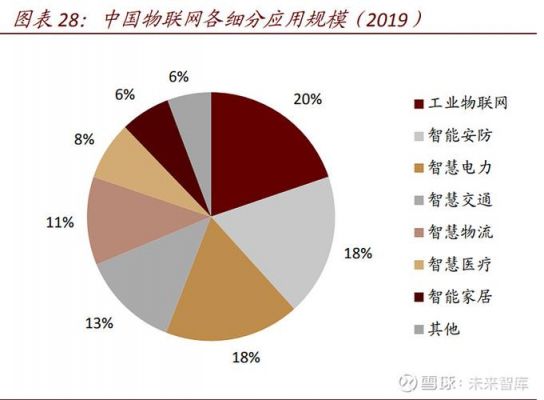 物联网爆发缺什么（物联网困境）