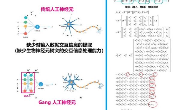 人工智能神经元预测国家线（人工智能神经元网络）