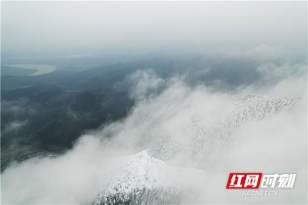 关于遥山雪气入云端的信息