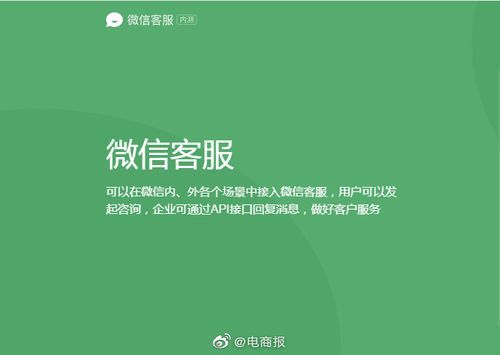 企业微信人工智能客服开发（企业微信有人工客服吗?）-图3