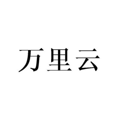 万利云端下载（万利云矿业有限公司）