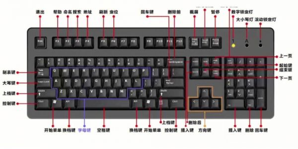 电脑键盘功能（电脑键盘功能基础知识打字）-图2