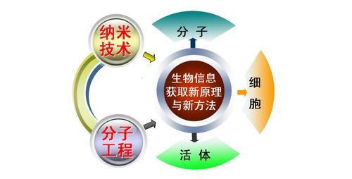 信息与通信技术（信息与通信技术纳米生物医学领域融合科学理念）-图2