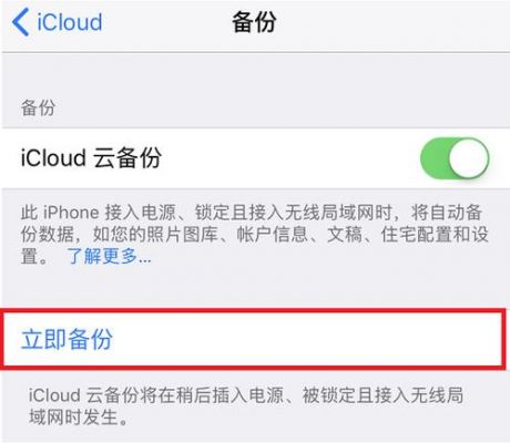 ipad怎样删除云端记录（ipad如何删除云备份）-图3