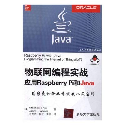 java物联网开发实例（java物联网开发实例分享）-图3