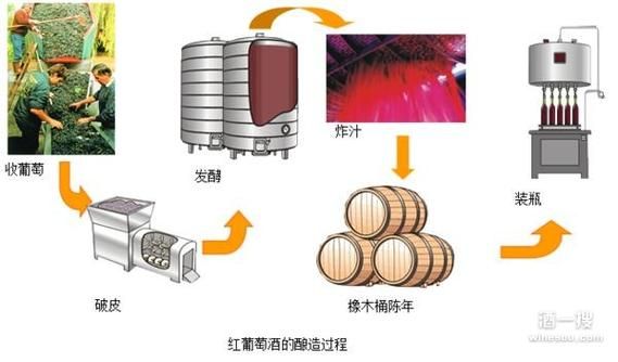 人工智能酿酒（人工酿酒程序）-图2