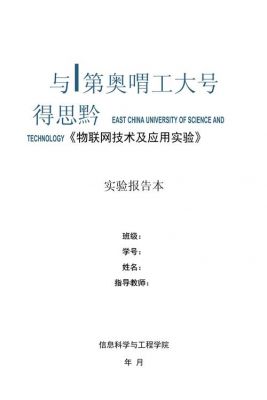 物联网应用技术基础（物联网应用技术基础实验报告）