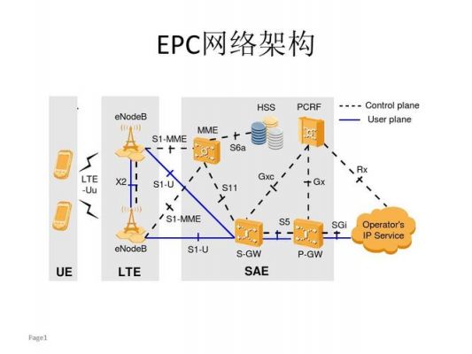 电信通信网（电信通信网的组成）