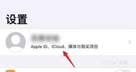 苹果id云端怎么退出（icould账号怎么退出）-图1