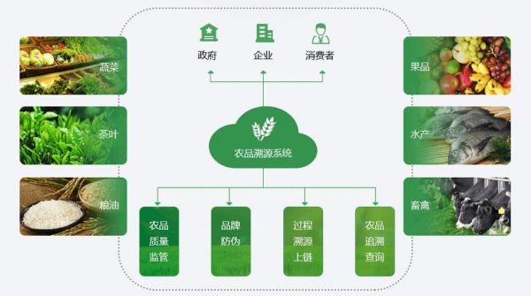 农业溯源物联网系统（农业溯源物联网系统包括）-图2