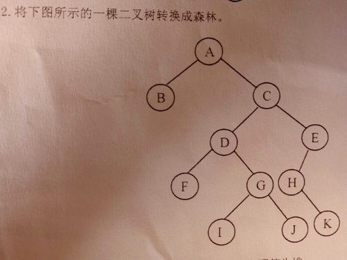 forest云端森林解锁（云端之约森林与二叉树攻略）-图1