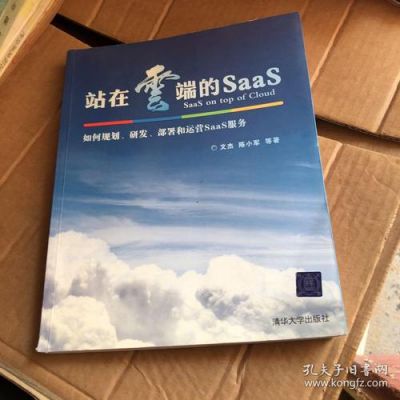 站在云端的SaaS（站在云端的人）-图3