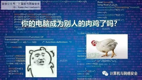 电脑是肉鸡（电脑肉鸡什么意思）-图1