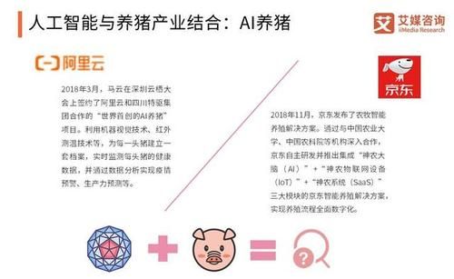 用人工智能如何养猪（人工智能在养殖业的运用）