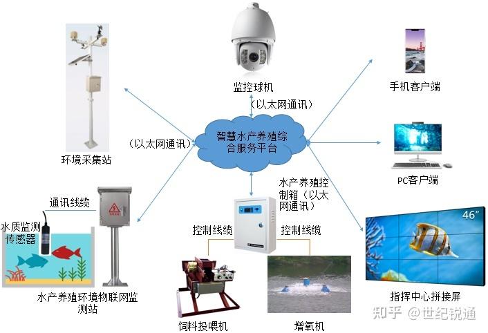 养殖物联网系统图片（物联网 水产养殖）-图2