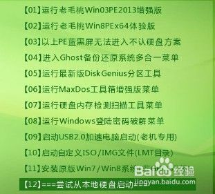 dell电脑从usb启动（dell usb启动设置方法）