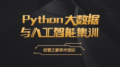 python人工智能和大数据（人工智能python与go）