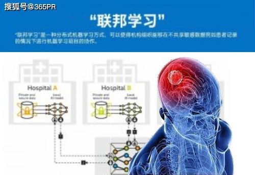 人工智能在脑肿瘤（人工智能脑科学的现状）