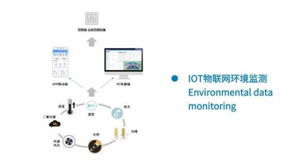 物联网和网络安全（物联网和网络安全的区别）