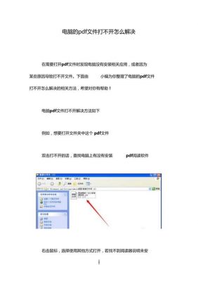 电脑不能打开pdf文件（电脑怎么打开不了pdf文件）